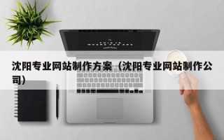 沭阳沈阳专业网站制作方案（沈阳专业网站制作公司）